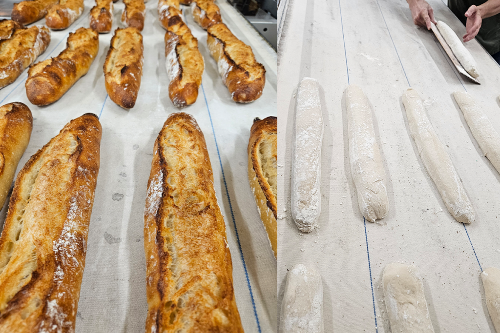 Photo présentation la mise sur tapis du four des baguettes traditions et leurs sortie